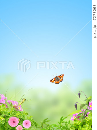 Summer time 7273063