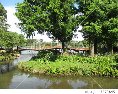 洗足池公園 7273845