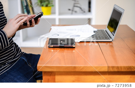 在宅ワーカー 7273958