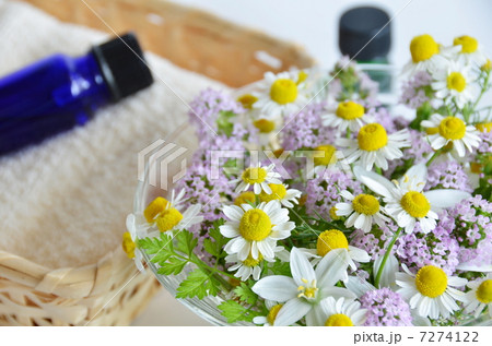 アロマトリートメント 7274122