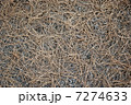 Pine Needles Background 7274633