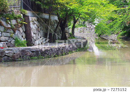 新緑の八幡堀と遊歩道 7275152