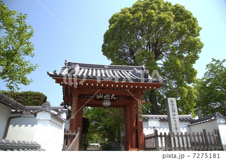 乙訓寺 7275181