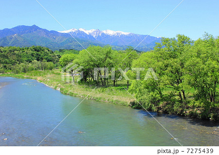 天竜橋から望む天竜川と中央アルプス 天竜橋から望む天竜川と中央アルプス 7275439