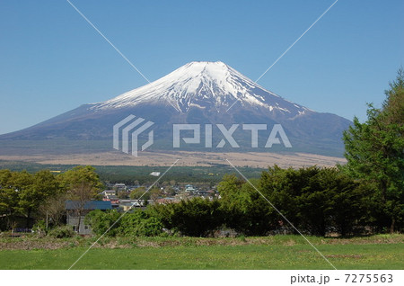 忍野村からの富士山 7275563