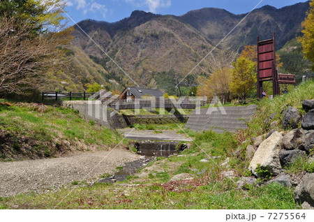 新緑と沢 7275564