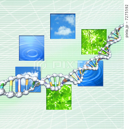 自然環境の中のDNAイメージ／遺伝子 7275592