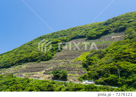 谷山の段々畑 7276121