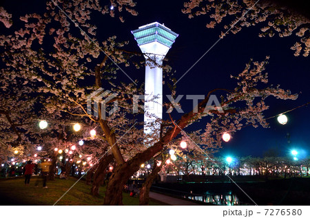 五稜郭タワーと夜桜 五稜郭タワーと夜桜 7276580