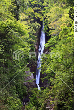 洒水の滝 7276939