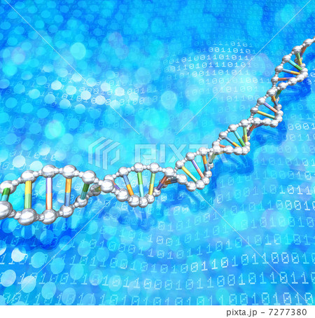DNA／遺伝子イメージ 7277380