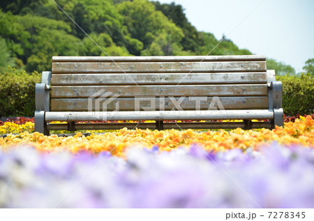 風景デジタルアート ベンチと花畑 花畑の中にあるベンチの写真素材 [7278345] - PIXTA
