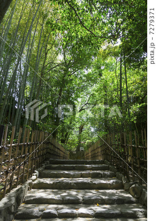 詩仙堂の竹林 7279371