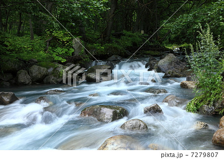 北海道・知床 岩尾別川 7279807