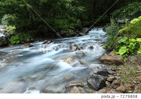 北海道・知床 岩尾別川 7279808