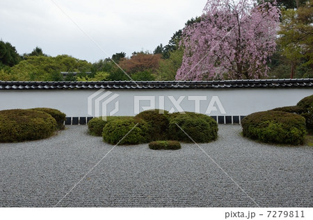 春の正伝寺 7279811