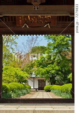館林散歩・善長寺 山門 館林散歩・善長寺 山門 7279833