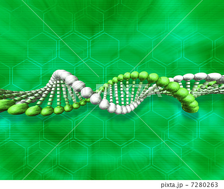DNA／遺伝子イメージ 7280263
