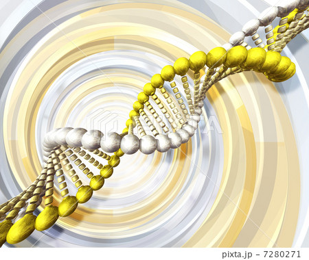 DNA／遺伝子イメージ 7280271