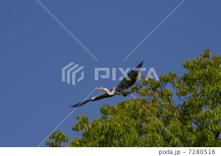 いざ大空へ 7280516