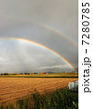 ダブルレインボー 7280785