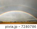 ダブルレインボー 7280786