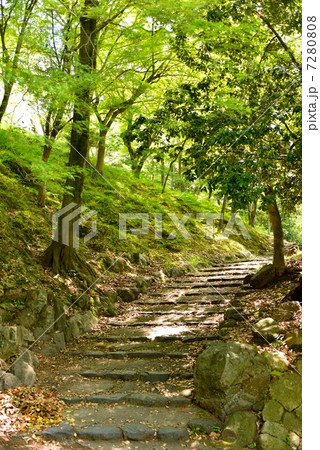 石段 7280808