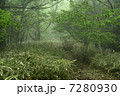 霧の登山道 7280930