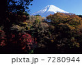 黄葉と富士 7280944