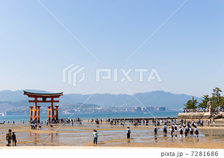 春の厳島神社 7281686