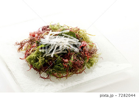 海藻 海藻 7282044