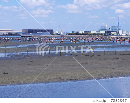 船橋三番瀬海浜公園 7282347