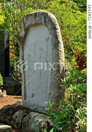 館林散歩・田山花袋文学碑　尾曳稲荷神社境内 7282545