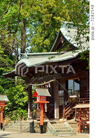 館林散歩・尾曳稲荷神社 7282549