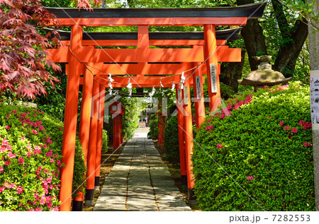 館林散歩・尾曳稲荷神社 7282553
