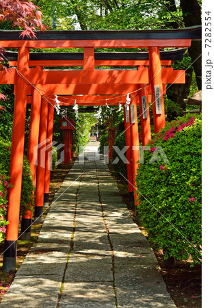 館林散歩・尾曳稲荷神社 7282554