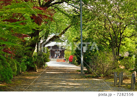 館林散歩・尾曳稲荷神社 7282556