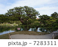 栗林公園の夫婦松 7283311