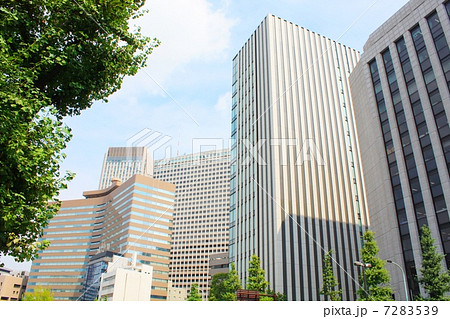 霞が関（六本木通り） 7283539