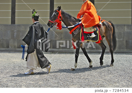 葵祭の馬 葵祭の馬 7284534
