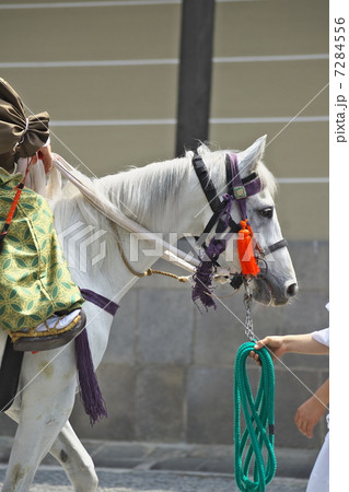 葵祭の馬 葵祭の馬 7284556