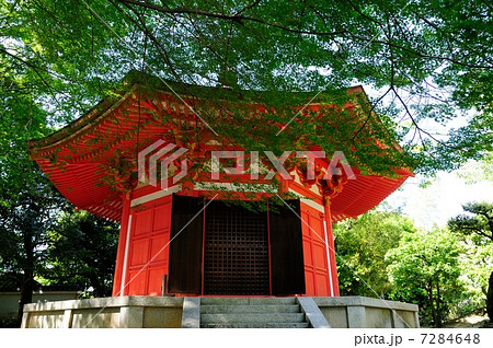 新緑の東福寺 7284648