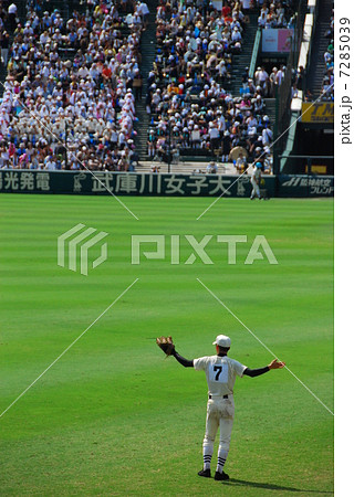 外野から 外野から 7285039