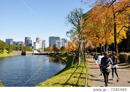 皇居周回のジョギング風景 7285460