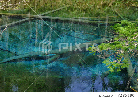 神の子池 7285990