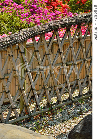 館林散歩・旧秋元別邸　光悦寺垣 7286929