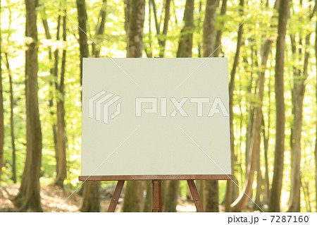 キャンパス　 7287160