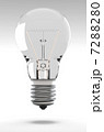 電球 7288280
