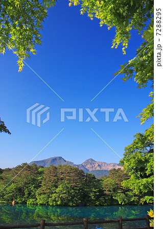 新緑と五色沼 7288295