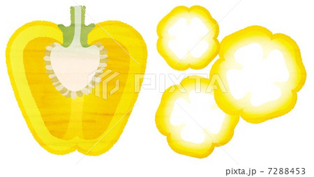 水彩風のパプリカ 水彩風のパプリカ 7288453